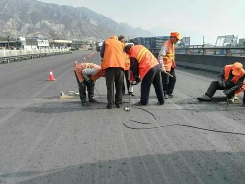 东莞生态园道路桥梁病害治理